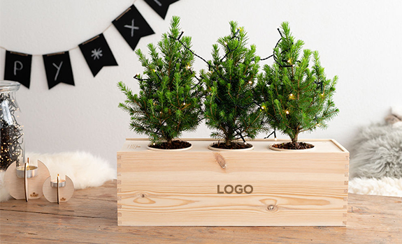 Kerst- en eindejaarsgeschenken Kerst- en eindejaarsgeschenken