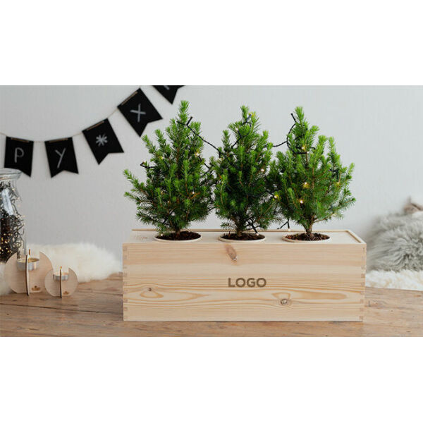 Kerst & Eindejaar